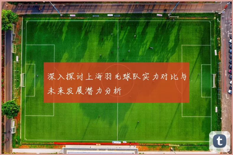 深入探讨上海羽毛球队实力对比与未来发展潜力分析