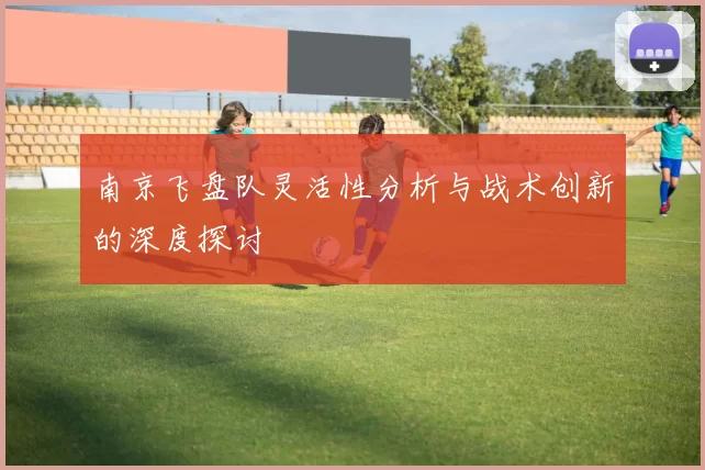 南京飞盘队灵活性分析与战术创新的深度探讨