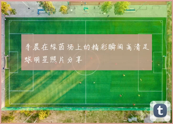 李晨在绿茵场上的精彩瞬间高清足球明星照片分享