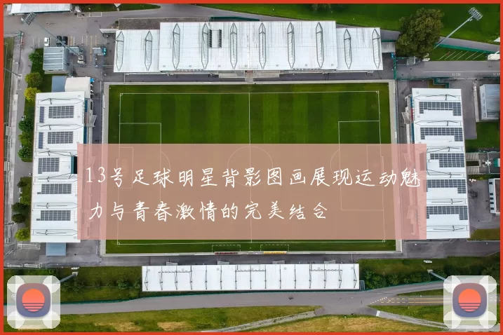 13号足球明星背影图画展现运动魅力与青春激情的完美结合