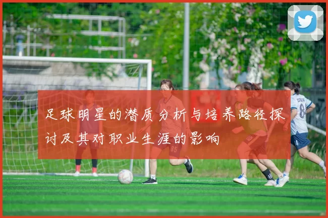 足球明星的潜质分析与培养路径探讨及其对职业生涯的影响