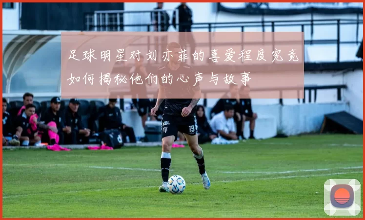 足球明星对刘亦菲的喜爱程度究竟如何揭秘他们的心声与故事