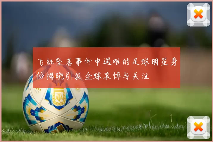 飞机坠落事件中遇难的足球明星身份揭晓引发全球哀悼与关注