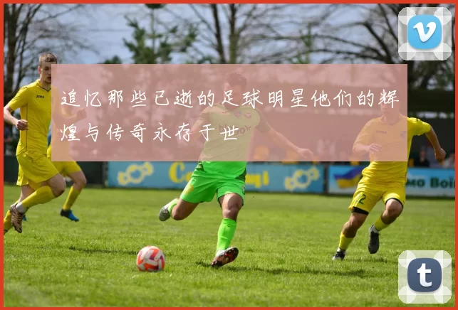 追忆那些已逝的足球明星他们的辉煌与传奇永存于世