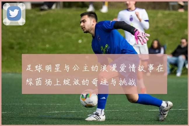 足球明星与公主的浪漫爱情故事在绿茵场上绽放的奇迹与挑战