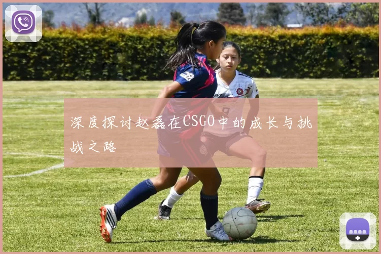 深度探讨赵磊在CSGO中的成长与挑战之路