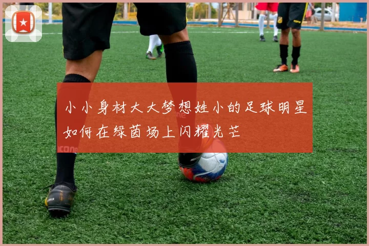 小小身材大大梦想姓小的足球明星如何在绿茵场上闪耀光芒