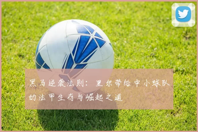 黑马逆袭法则：里尔带给中小球队的法甲生存与崛起之道