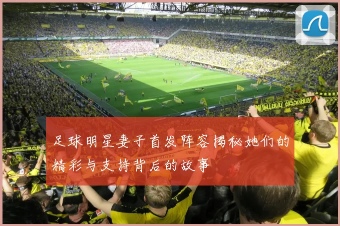 足球明星妻子首发阵容揭秘她们的精彩与支持背后的故事