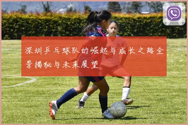 深圳乒乓球队的崛起与成长之路全景揭秘与未来展望