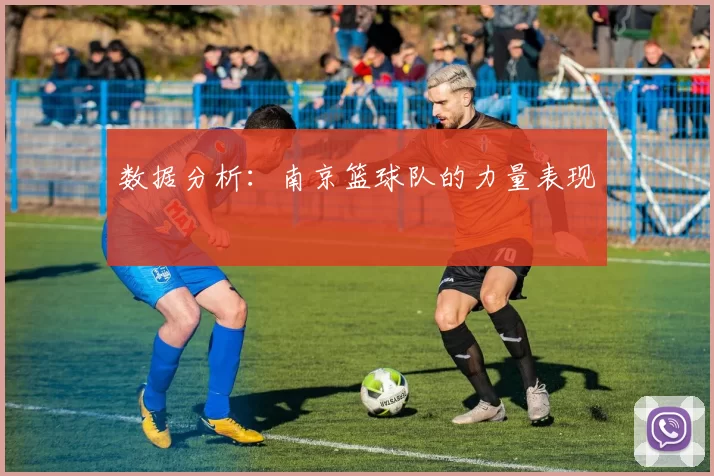 数据分析：南京篮球队的力量表现