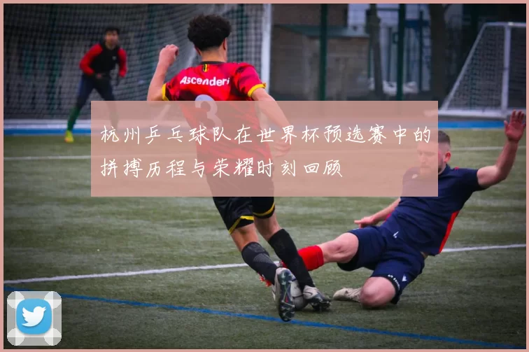杭州乒乓球队在世界杯预选赛中的拼搏历程与荣耀时刻回顾