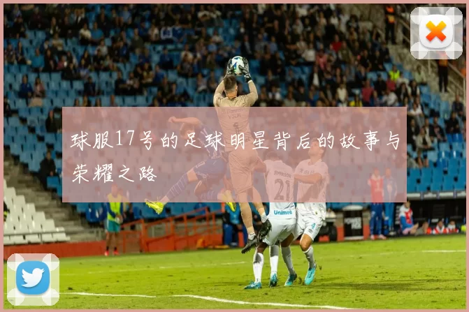 球服17号的足球明星背后的故事与荣耀之路