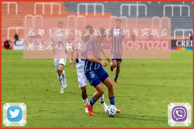 成都飞盘队防反战术解析与实战应用全方位解读