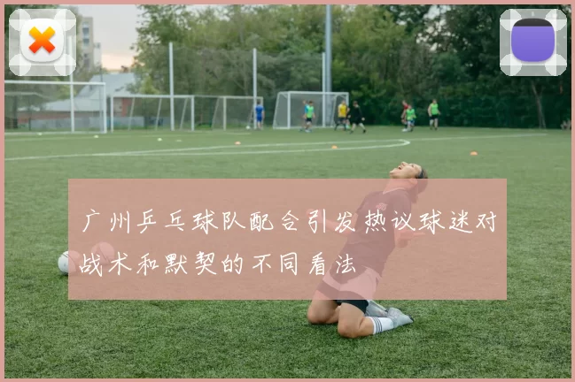广州乒乓球队配合引发热议球迷对战术和默契的不同看法
