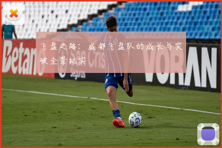 飞盘之路：成都飞盘队的成长与突破全景纪实