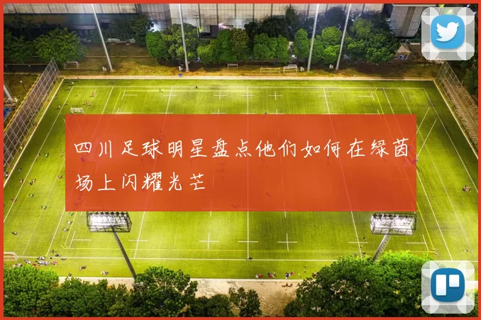 四川足球明星盘点他们如何在绿茵场上闪耀光芒