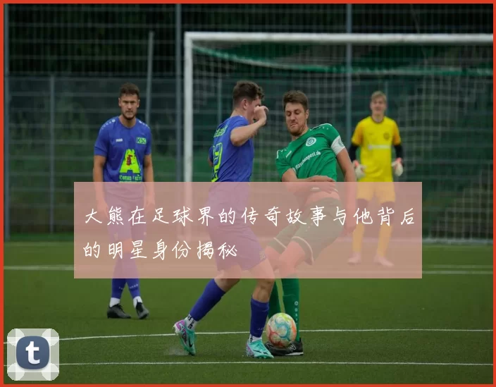 大熊在足球界的传奇故事与他背后的明星身份揭秘